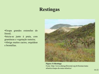 Restingas



•Ocupa grandes extensões do
litoral;
•Inicia-se junto à praia, com
gramíneas e vegetação rasteira;
•Abriga muitos cactos, orquídeas
e bromélias.




                                     Figura 11:Restinga
                                     Fonte: http://www.dialogoflorestal.org.br/biomas/mata-
                                     atlantica/mapa-da-mata-atlantica/
                                                                                              16-22
 
