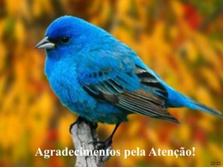 Agradecimentos pela Atenção!
                               22-22
 