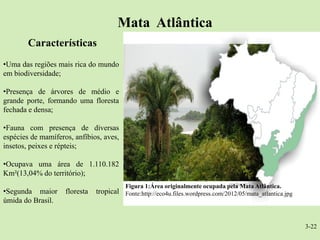 Mata Atlântica
        Características
•Uma das regiões mais rica do mundo
em biodiversidade;

•Presença de árvores de médio e
grande porte, formando uma floresta
fechada e densa;

•Fauna com presença de diversas
espécies de mamíferos, anfíbios, aves,
insetos, peixes e répteis;

•Ocupava uma área de 1.110.182
Km²(13,04% do território);
                                          Figura 1:Área originalmente ocupada pela Mata Atlântica.
•Segunda maior      floresta   tropical Fonte:http://eco4u.files.wordpress.com/2012/05/mata_atlantica.jpg
úmida do Brasil.


                                                                                                            3-22
 
