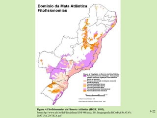Figura 4:Fitofisionomias da Floresta Atlântica (IBGE, 1993).
Fonte:ftp://www.ufv.br/def/disciplinas/ENF448/aula_10_fitogeografia/BIOMAS/MATA%   9-22
20ATL%C2NTICA.pdf
 