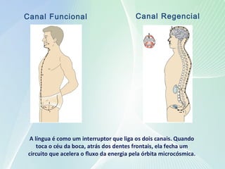 Canal Funcional Canal Regencial
 