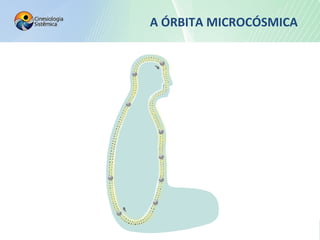 A ÓRBITA MICROCÓSMICA
 