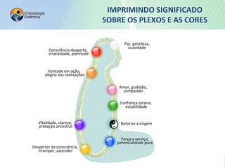 IMPRIMINDO SIGNIFICADO
SOBRE OS PLEXOS E AS CORES
Consciência desperta,
criatividade, plenitude
Vontade em ação,
alegria nas realizações
Vitalidade, clareza,
proteção ancestral
Despertar da consciência,
irromper, ascender
Força a serviço,
potencialidade pura
Retorno à origem
Confiança serena,
estabilidade
Amor, gratidão,
compaixão
Paz, gentileza,
suavidade
 
