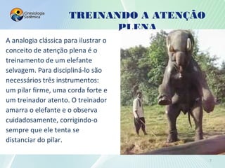 TREINANDO A ATENÇÃO
PLENA
7
A analogia clássica para ilustrar o
conceito de atenção plena é o
treinamento de um elefante
selvagem. Para discipliná-lo são
necessários três instrumentos:
um pilar firme, uma corda forte e
um treinador atento. O treinador
amarra o elefante e o observa
cuidadosamente, corrigindo-o
sempre que ele tenta se
distanciar do pilar.
 