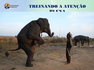 TREINANDO A ATENÇÃO
PLENA
8
 