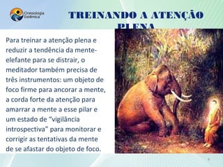 TREINANDO A ATENÇÃO
PLENA
9
Para treinar a atenção plena e
reduzir a tendência da mente-
elefante para se distrair, o
meditador também precisa de
três instrumentos: um objeto de
foco firme para ancorar a mente,
a corda forte da atenção para
amarrar a mente a esse pilar e
um estado de “vigilância
introspectiva” para monitorar e
corrigir as tentativas da mente
de se afastar do objeto de foco.
 