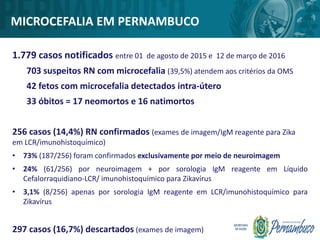 MICROCEFALIA EM PERNAMBUCO
1.779 casos notificados entre 01 de agosto de 2015 e 12 de março de 2016
703 suspeitos RN com microcefalia (39,5%) atendem aos critérios da OMS
42 fetos com microcefalia detectados intra-útero
33 óbitos = 17 neomortos e 16 natimortos
256 casos (14,4%) RN confirmados (exames de imagem/IgM reagente para Zika
em LCR/imunohistoquímico)
• 73% (187/256) foram confirmados exclusivamente por meio de neuroimagem
• 24% (61/256) por neuroimagem + por sorologia IgM reagente em Líquido
Cefalorraquidiano-LCR/ imunohistoquímico para Zikavírus
• 3,1% (8/256) apenas por sorologia IgM reagente em LCR/imunohistoquímico para
Zikavírus
297 casos (16,7%) descartados (exames de imagem)
 