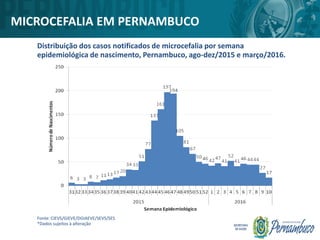 MICROCEFALIA EM PERNAMBUCO
Distribuição dos casos notificados de microcefalia por semana
epidemiológica de nascimento, Pernambuco, ago-dez/2015 e março/2016.
Fonte: CIEVS/GIEVE/DGIAEVE/SEVS/SES
*Dados sujeitos à alteração
 