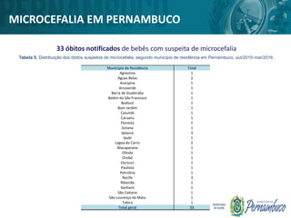 33 óbitos notificados de bebês com suspeita de microcefalia
MICROCEFALIA EM PERNAMBUCO
Município de Residência Total
Agrestina 1
Águas Belas 2
Araripina 1
Arcoverde 1
Barra de Guabiraba 1
Belém do São Francisco 1
Bodocó 1
Bom Jardim 1
Calumbi 1
Caruaru 1
Floresta 1
Goiana 1
Ipojuca 3
Ipubi 1
Lagoa do Carro 2
Macaparana 1
Olinda 1
Orobó 1
Ouricuri 1
Paulista 1
Petrolina 1
Recife 3
Ribeirão 1
Sanharó 1
São Caitano 1
São Lourenço da Mata 1
Tabira 1
Total geral 33
Tabela 5. Distribuição dos óbitos suspeitos de microcefalia, segundo município de residência em Pernambuco, out/2015-mar/2016.
 