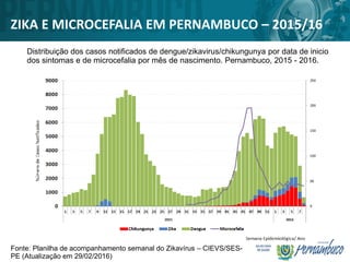 ZIKA E MICROCEFALIA EM PERNAMBUCO – 2015/16
Distribuição dos casos notificados de dengue/zikavirus/chikungunya por data de inicio
dos sintomas e de microcefalia por mês de nascimento. Pernambuco, 2015 - 2016.
Fonte: Planilha de acompanhamento semanal do Zikavírus – CIEVS/SES-
PE (Atualização em 29/02/2016)
 