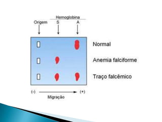Mutação Cromossômica NuméricaPoliploide: o número de cromossomos multiplica;Aneuploidias: aumento ou diminuição de um pare de cromossomos.