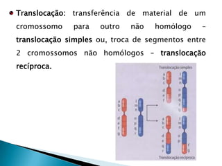 Distúrbios Multifatoriais