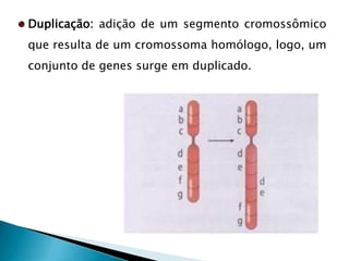 Variação no gene que produz ou predispõe a um defeito, em geral em conjunto com fatores ambientais.