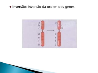 Distúrbios Monogênicos
