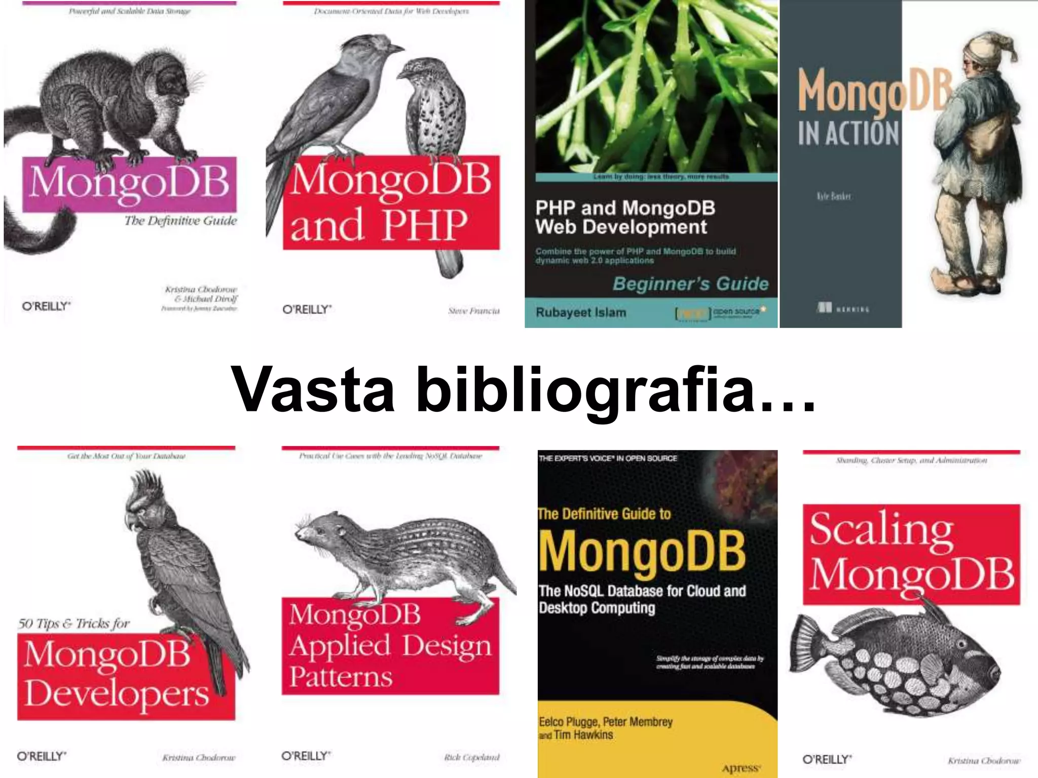 Vasta bibliografia… 