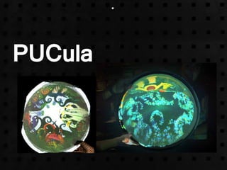 PUCula
 