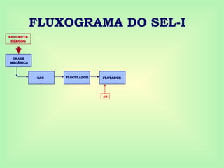 FLUXOGRAMA DO SEL-I
FLOCULADOR
FLOCULADOR
SAO
SAO FLOTADOR
FLOTADOR
EFLUENTE
EFLUENTE
OLEOSO
OLEOSO
GRADE
GRADE
MECÂNICA
MECÂNICA
AR
AR
 