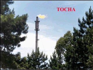 TOCHA
 