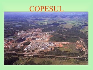 COPESUL
 