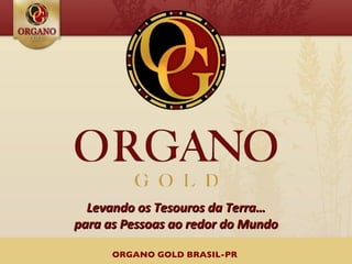 Levando os Tesouros da Terra…
para as Pessoas ao redor do Mundo

      ORGANO GOLD BRASIL-PR
 