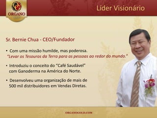 Líder Visionário
 
