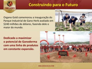 Construindo para o Futuro

Organo Gold comemorou a inauguração do
Parque Industrial de Gano Herb avaliado em
$240 milhões de dólares, fazendo dele o
maior do mundo.


Dedicado a maximizar
o potencial de Ganoderma
com uma linha de produtos
em constante expansão.
 