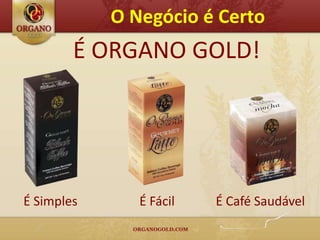 O Negócio é Certo
        É ORGANO GOLD!




É Simples      É Fácil   É Café Saudável
 