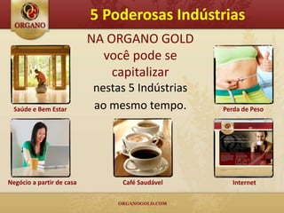 5 Poderosas Indústrias
                           NA ORGANO GOLD
                             você pode se
                               capitalizar
                           nestas 5 Indústrias
  Saúde e Bem Estar        ao mesmo tempo.       Perda de Peso




Negócio a partir de casa        Café Saudável       Internet
 