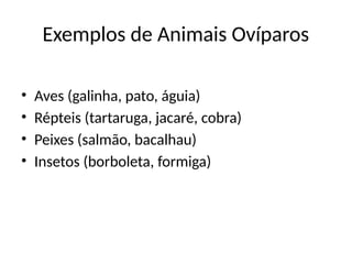Exemplos de Animais Ovíparos
• Aves (galinha, pato, águia)
• Répteis (tartaruga, jacaré, cobra)
• Peixes (salmão, bacalhau)
• Insetos (borboleta, formiga)
 