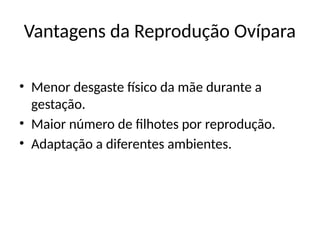 Vantagens da Reprodução Ovípara
• Menor desgaste físico da mãe durante a
gestação.
• Maior número de filhotes por reprodução.
• Adaptação a diferentes ambientes.
 