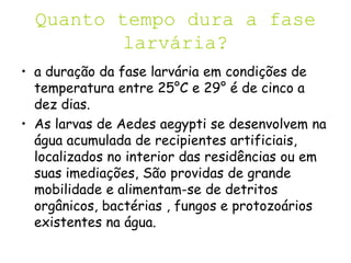 Quanto tempo dura a fase
larvária?
• a duração da fase larvária em condições de
temperatura entre 25°C e 29° é de cinco a
dez dias.
• As larvas de Aedes aegypti se desenvolvem na
água acumulada de recipientes artificiais,
localizados no interior das residências ou em
suas imediações, São providas de grande
mobilidade e alimentam-se de detritos
orgânicos, bactérias , fungos e protozoários
existentes na água.
 