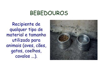 BEBEDOUROS
Recipiente de
qualquer tipo de
material e tamanho
utilizado para
animais (aves, cães,
gatos, coelhos,
cavalos ...).
 