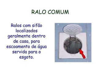 RALO COMUM
Ralos com sifão
localizados
geralmente dentro
de casa, para
escoamento de água
servida para o
esgoto.
 