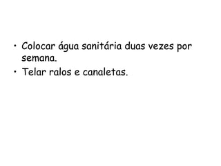 • Colocar água sanitária duas vezes por
semana.
• Telar ralos e canaletas.
 