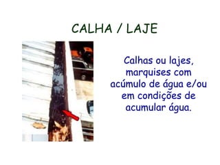 CALHA / LAJE
Calhas ou lajes,
marquises com
acúmulo de água e/ou
em condições de
acumular água.
 