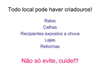 Todo local pode haver criadouros!
Ralos
Calhas
Recipientes expostos a chuva
Lajes
Reformas
Não só evite, cuide!!!
 
