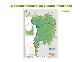 Desmatamento no Bioma Pantanal
2008-2009
 