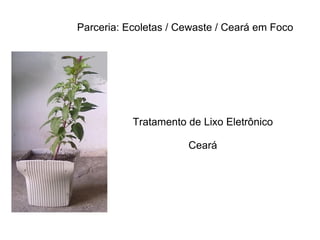 Tratamento de Lixo Eletrônico Ceará Parceria: Ecoletas / Cewaste / Ceará em Foco 