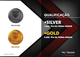 Apresentação Paydiamond (PT)