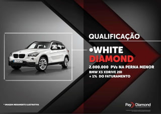 Apresentação Paydiamond (PT)