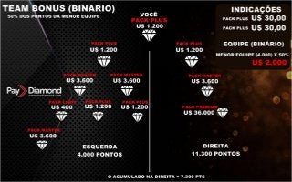 Apresentação Paydiamond PT