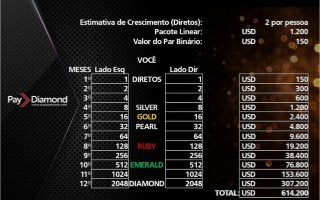 Apresentação Paydiamond PT