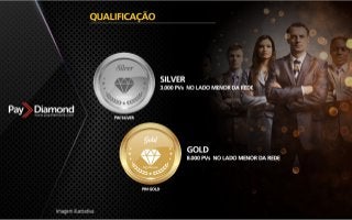 Apresentação Paydiamond PT