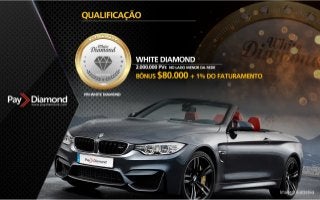 Apresentação Paydiamond PT