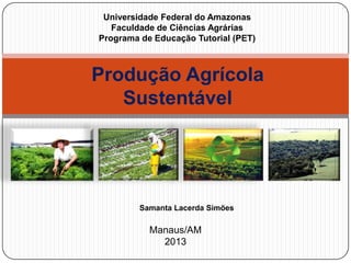 Produção Agrícola
Sustentável
Universidade Federal do Amazonas
Faculdade de Ciências Agrárias
Programa de Educação Tutorial (PET)
Manaus/AM
2013
Samanta Lacerda Simões
 