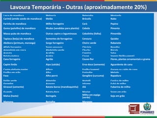 Lavoura Temporária - Outras (aproximadamente 20%)
Lasca de mandioca Melancia Beterraba Mostarda
Carimã (amido azedo de mandioca) Melão Brócolis Nabo
Farinha de mandioca Milho forrageiro Cará Pepino
Goma (polvilho) de mandioca Mudas (vendidas para plantio) Cebola Pimenta
Massa puba de mandioca Outras capins e leguminosas Cebolinha (folha) Pimentão
Tapioca (beiju) de mandioca Sementes de forrageiras Cenoura Quiabo
Abóbora (jerimum, moranga) Sorgo forrageiro Cheiro verde Rabanete
Alfafa forrageira Sorgo vassoura Chicória Repolho
Amendoim em casca Abobrinha verde Chuchu Rúcula
Araruta Açafrão Coentro Salsa
Batata-inglesa Acelga Couve Vagem (feijão-vagem)
Cana forrageira Agrião Couve-flor Flores, plantas ornamentais e grama
Capim limão Aipo (salsão) Erva-doce (semente) Aguardente de cana
Capim-elefante-napier Alface Ervilha (vagem) Garapa ou caldo de cana
Ervilha em grão Alho Espinafre Melado
Fava Alho porró Gengibre (curcuma) Rapadura
Feijão verde Almeirão Hortelã Canjica de milho
Gergelim Aspargo Inhame Fubá de milho
Girassol (semente) Batata-baroa (mandioquinha) Jiló Fubarina de milho
Guando Batata-doce Maxixe Sorgo em grão
Malva (haste) Beringela Milho em espiga
(verde)
Soja em grão
Mamona Bertalha Morango
 
