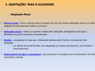 Adaptações físicas
• Marcas visuais – Entre a sala de aula e o espaço do mini-zoo, foram colocadas marcas no chão
(pegadas de animais) para indicar o percurso.
• Indicações visuais – todos os suportes criados têm indicações pictográficas para que o
Alexandre os possa consultar e compreender.
• Gaiolas – uma gaiola em casa que o Alexandre pudesse abrir, fechar e transportar com
facilidade.
– na gaiola da escola foi feita uma adaptação no sistema de abertura, para facilitar o
manuseamento.
• Dispensadores de água e comedouros - que permitam o transporte sem transbordar e de fácil
colocação e manejo.
5. ADAPTAÇÕES PARA O ALEXANDRE
 