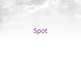 Spot
 