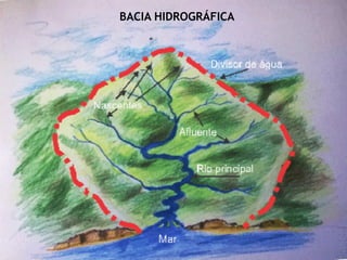 BACIA HIDROGRÁFICA
 