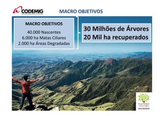 30 Milhões de Árvores
20 Mil ha recuperados
MACRO OBJETIVOS
40.000 Nascentes
6.000 ha Matas Ciliares
2.000 ha Áreas Degradadas
MACRO OBJETIVOS
 